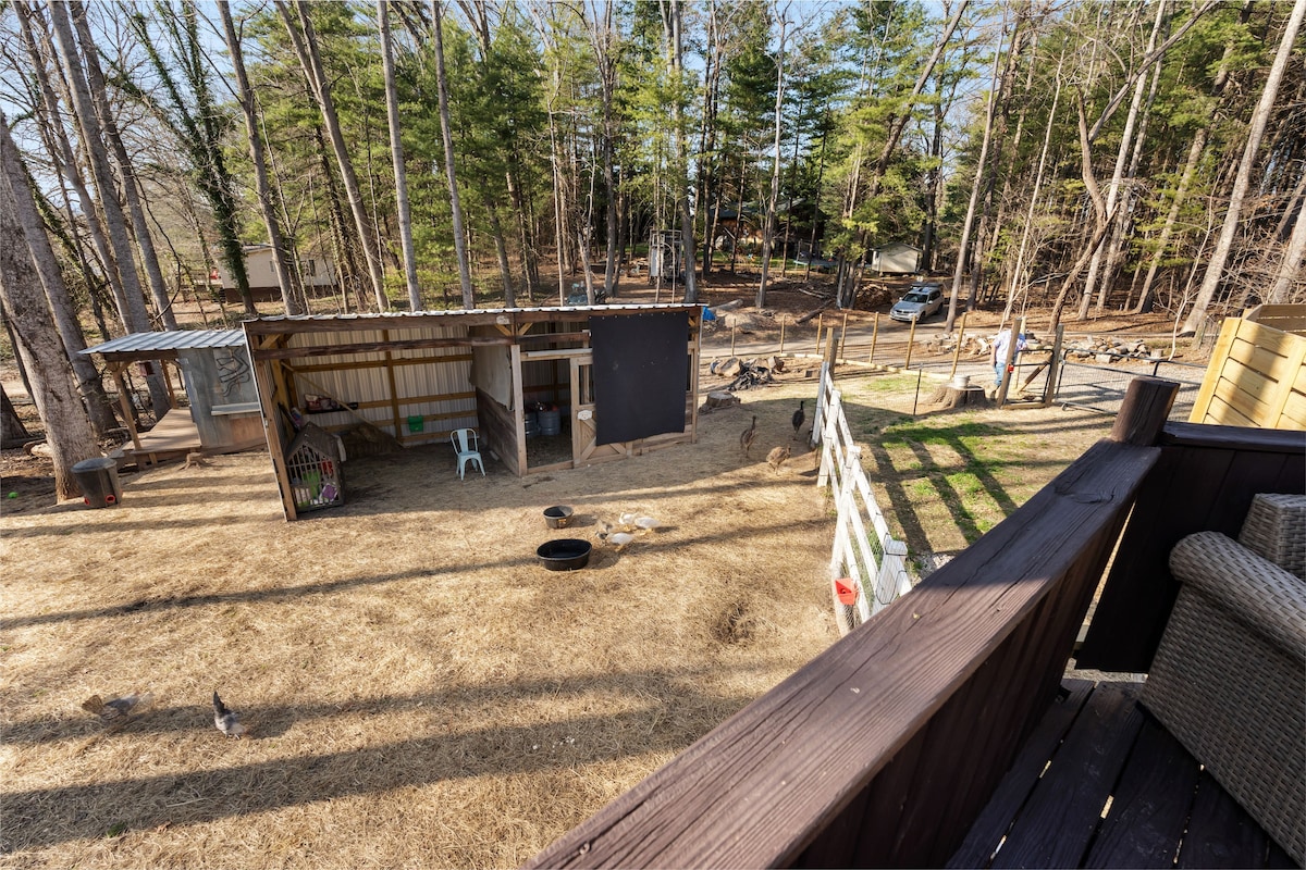 Asheville Farm Retreat, hot tub, King bed, firepit