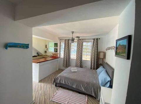 Bilimbi Beachfront Farmstay w Pool — Lamboglia, Patillas