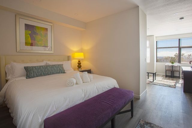 Luxurious Design One Bedroom Apt near Balboa Park — San Diego, CA