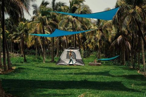 Zona de acampar en finca de palmas frente al mar — Lamboglia, Patillas