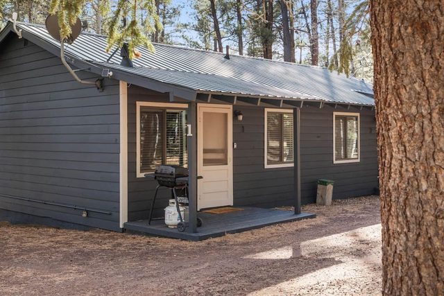 Aspen Cabin 1