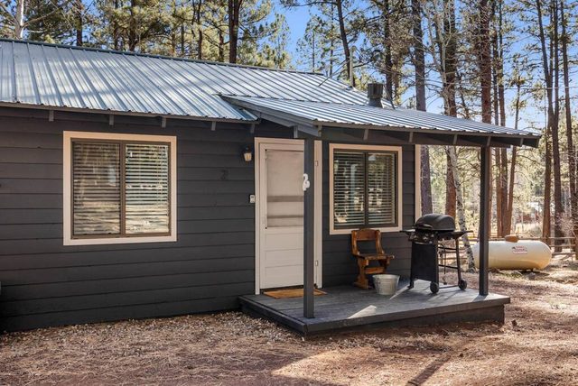 Aspen Cabin 2