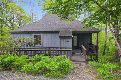 The Distinguished Squirrel Chalet walking distance — Wintergreen Resort, VA