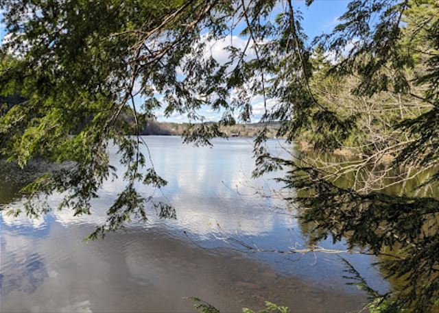 Loon Cove