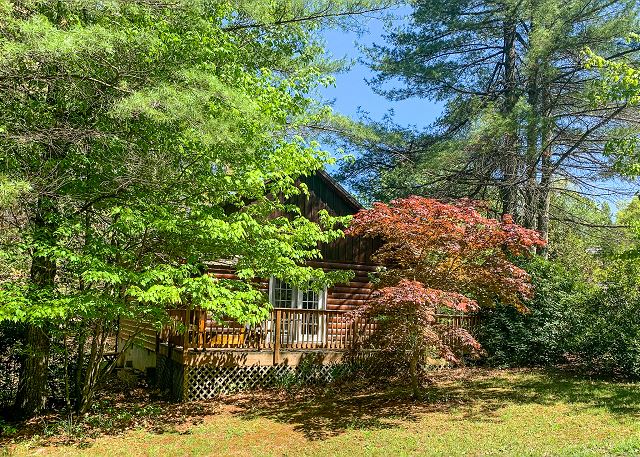 Edelweiss Cabin - New Rental 2022