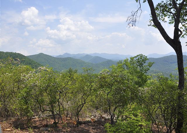 The Best Views in Murphy, NC Cabin Rental