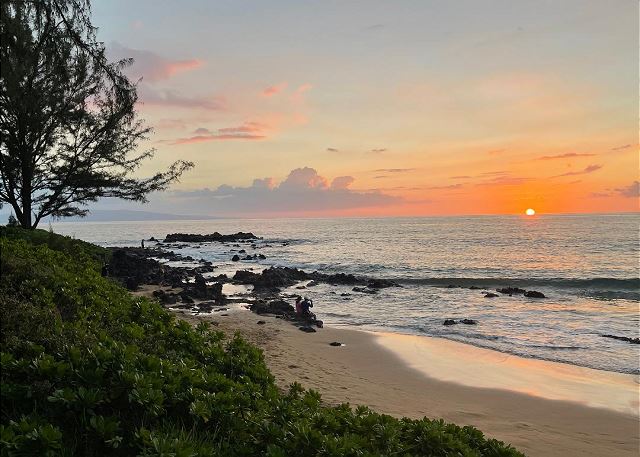 Halekamaole 158