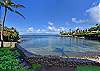 Swim with the turtles! Oceanfront condo #102
