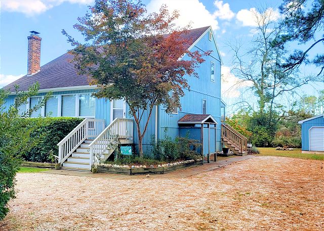 Acorn — Chincoteague, VA