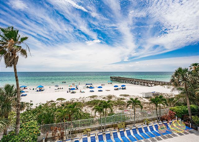 Beach Palms 209