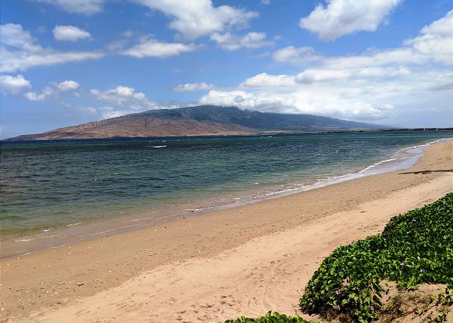 Maui Sunset A313 — Kihei, HI