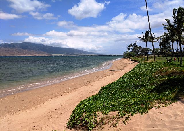 Maui Sunset 403B — Wailea, HI