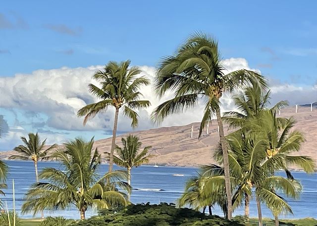 Maui Sunset 409B