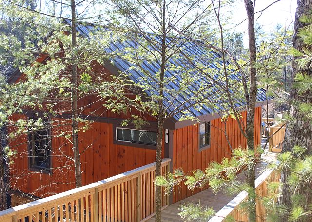 Unit #11 Treetops