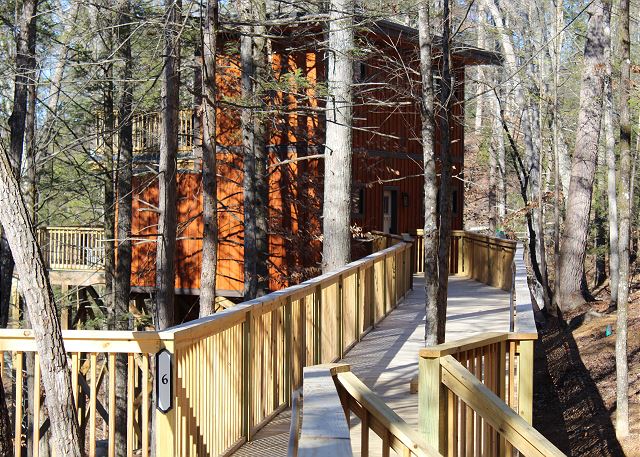 Unit #6 Treetops