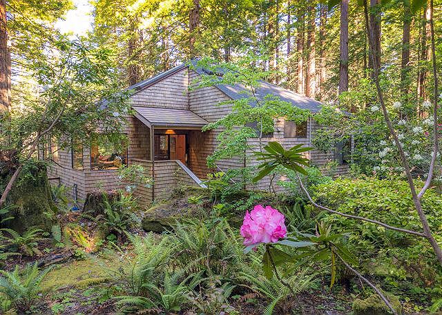 Forest House