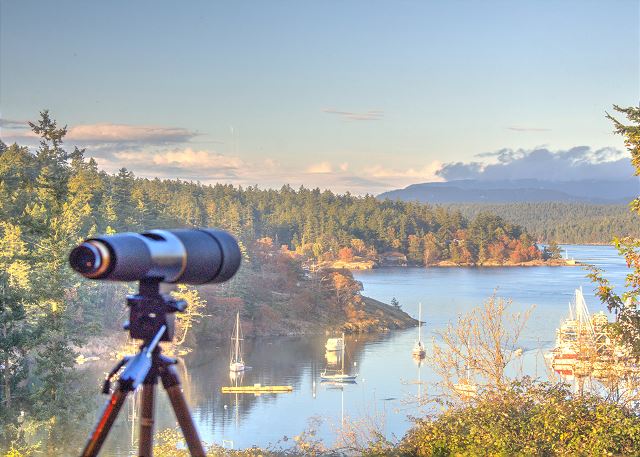 Marina Lookout
