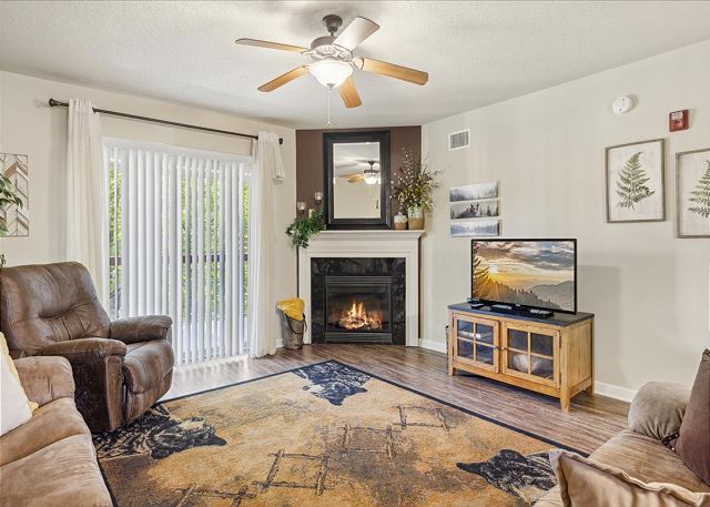 CL303 Splash 'n' Views — Pigeon Forge, TN