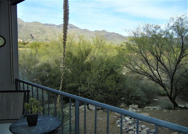 Greens at Ventana Canyon #8144E