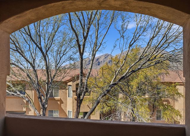 Pinnacle Canyon #8202