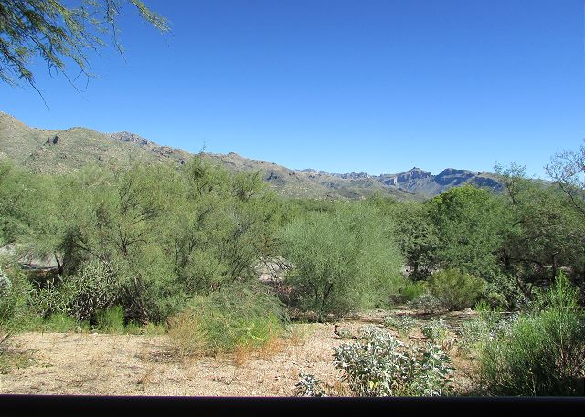 Greens at Ventana Canyon #3101W