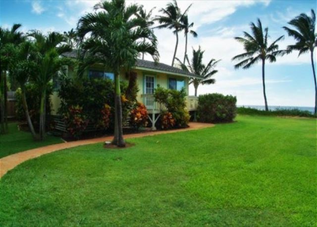 PALM COTTAGE