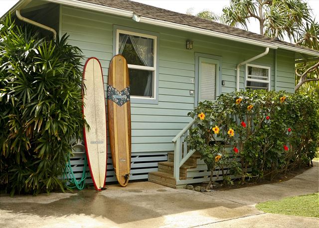 Maui Winds
