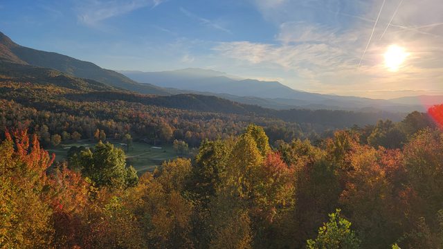 BW, Bearly Wait — Gatlinburg, TN