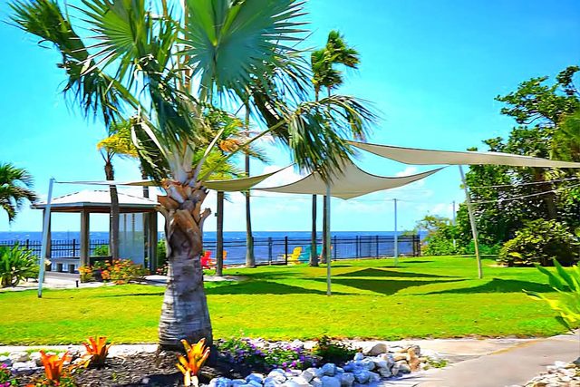 Little Harbor Resort #207 Tampa Bay FL Beach, Dolphin View — Ruskin, FL