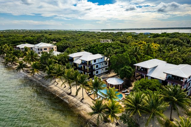 TBS All Units — North Placencia, Southern District