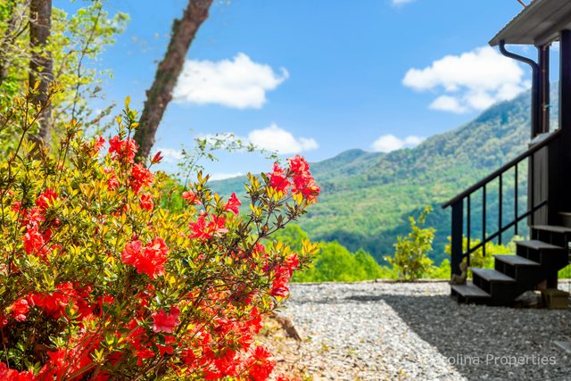Writer's Block — Saluda, NC