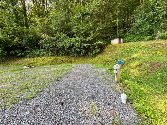 Site 2- The Cove at Dick Branch