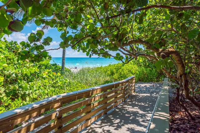 271 Mercury Cir. Apt 3. Juno Beach