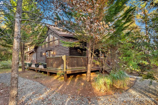 Fiona's Forest Haven