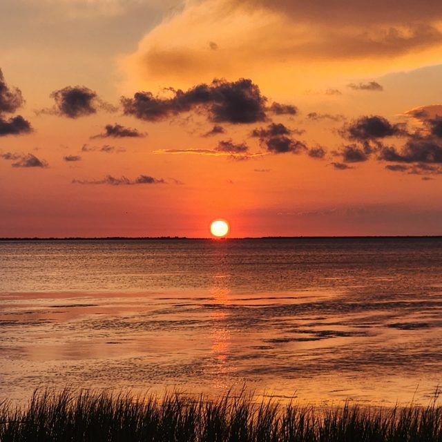 Bliss on the Bay