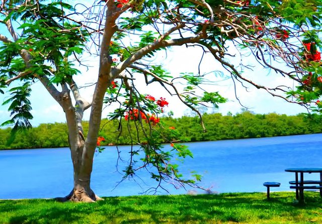 Little Harbor Resort #507 Tampa Bay FL Beach, Riverview Romance