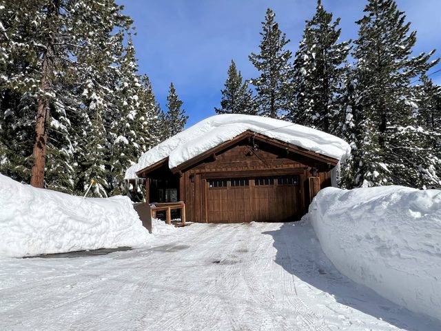 Saint Bernard 11515SBD — Truckee, CA