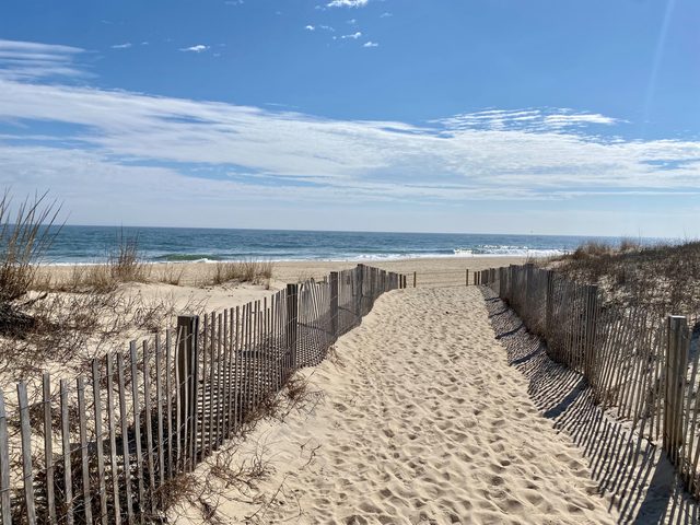 Ocean Terrace