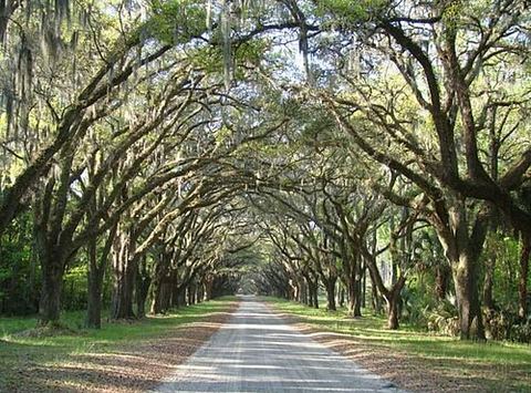 Savannah, Georgia