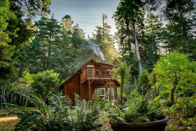 Magical Redwood Getaway-Outdoor Tub & Dog-Friendly — Fort Bragg, CA